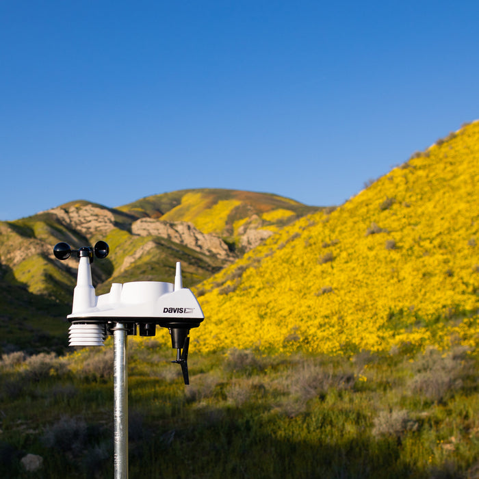 The Magic of Perfect Weather Conditions: Superblooms