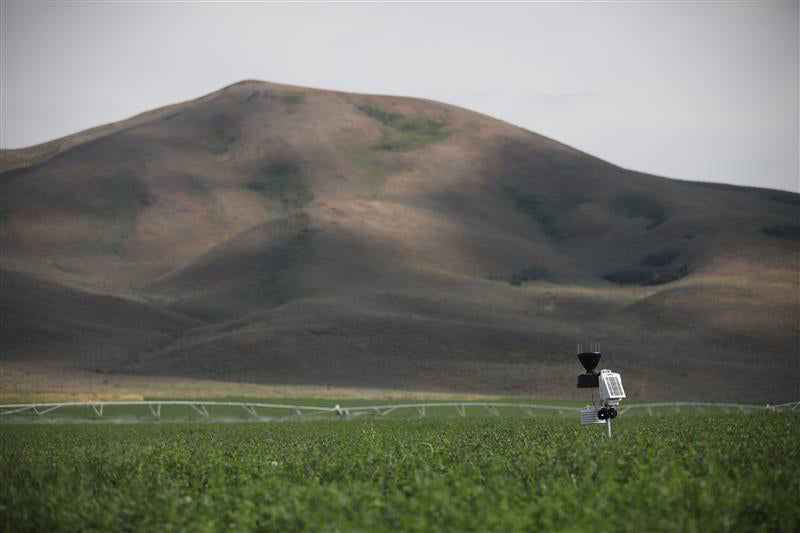 EnviroMonitor system for high alfalfa yield