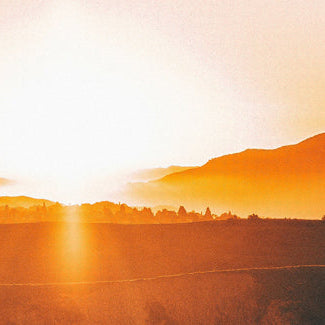 March 2026: A Record-Breaking Start to the Year