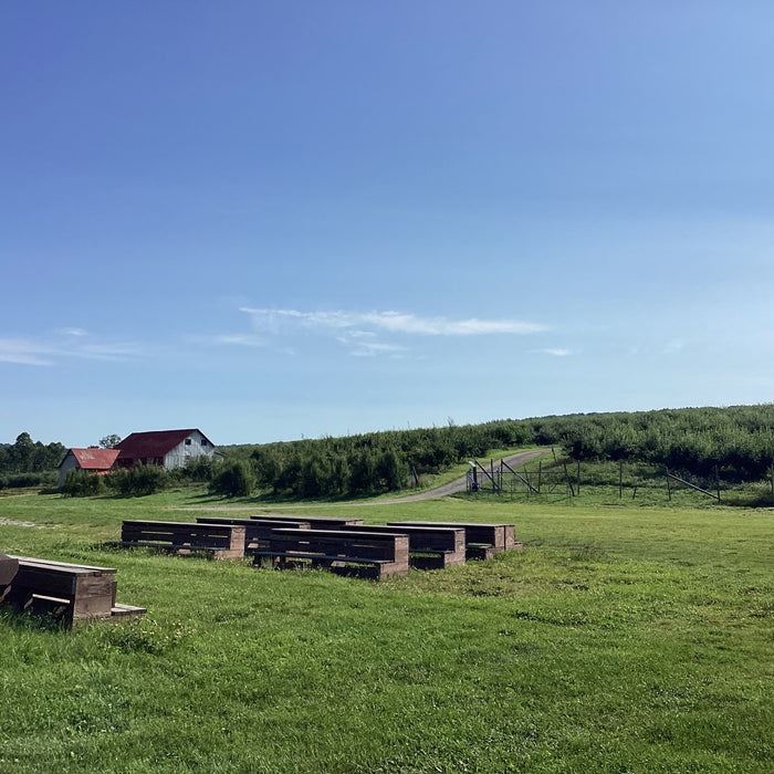 Vermont’s Wellwood Orchards Loses Fruit Tree Harvest but Remains Resilient