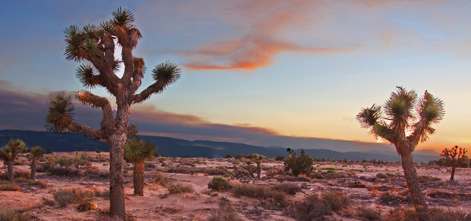 Watching the Weather in the Mojave